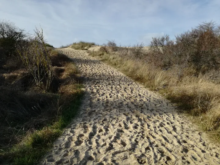 De Panne (België)